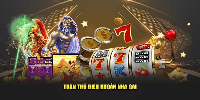 Tuân thủ điều khoản khi chơi Nổ hũ 77Win